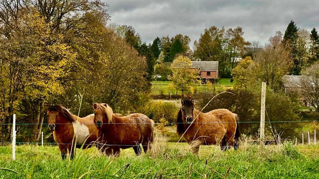 La Maison Attila En Ardennes Libin Luaran gambar
